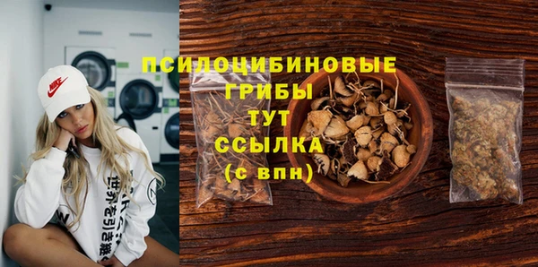 2c-b Абаза