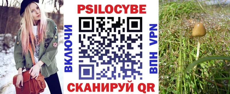 блэк спрут   сколько стоит  Ивангород  Галлюциногенные грибы мицелий 