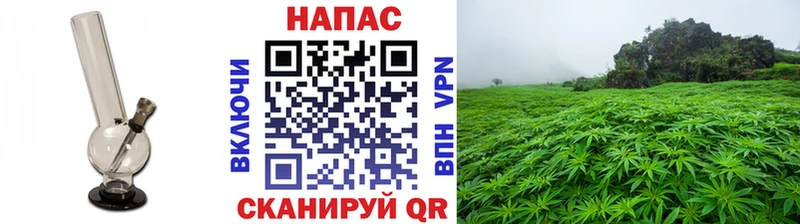 Бошки Шишки тримм  где найти наркотики  Ивангород 